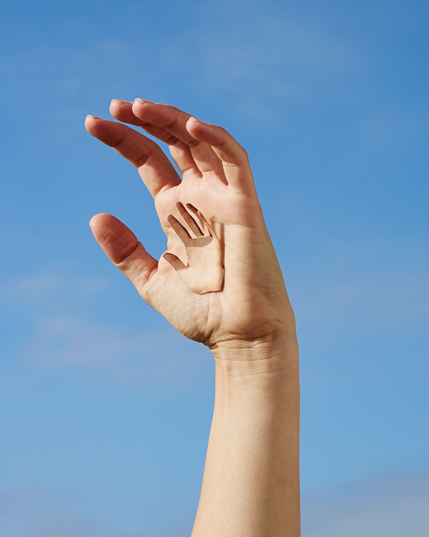 In The Palm Of My Hand, 2025